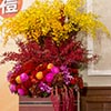 president. Danny's Flower